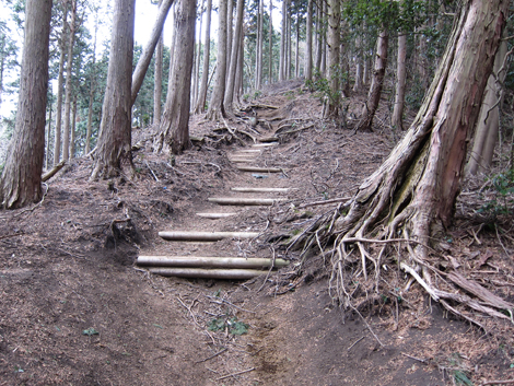 20190214hike (281)